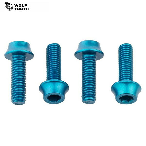 WolfTooth ウルフトゥース Wolf Tooth Water Bottle Cage Bolts Teal