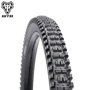 WTB JUDGE WbW TCS 29X2.4T-HG
