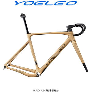 YOELEO [I G21 DB fBXNu[L Ox t[Zbgt[P