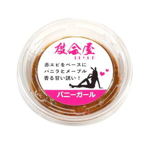 x(킽炢) oj[K[ Grn Cޖx p ⓀGT