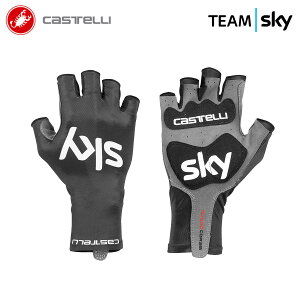 ňl풆!!y[zCASTELLI 9026 TEAM SKY AERO RACE GLOVE JXe `[XJC GA[X w؃O[u(vI胂f)