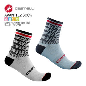 ňl풆!yő2000~N[|zy}\P2{z2808~~Iy[zCASTELLI 21031 AVANTI 12 SOCK JXe AoeB \bNX