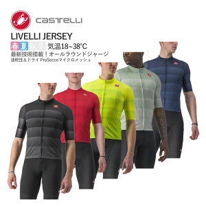 ňl풆!!yzCASTELLI 23015 LIVELLI JERSEY JXe F W[W