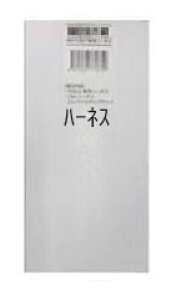 GWX^[^[@lNXgCg S254K n[lX̂݁@T[LbgfUC@XYL