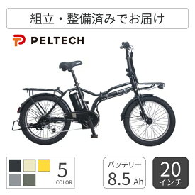 折りたたみ自転車 電動アシスト自転車 PELTECH(ペルテック) TDN-246L 20インチ TDN-246L-MBK 【通常3~5営業日で出荷】