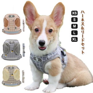 L Ȃ n[lX _ubN  _u bN 킢 Lpn[lX ˂n[lX Sg  [h bV ȒP U o Lbg ʉ@  ЊQ  }WbNe[