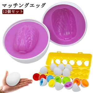  `킹 }b`OGbO GbOpY 12 ^͂ }`  t[c ` `F J[F eb\[  ߋ 12_Zbg  pY ܂ }b`OGb