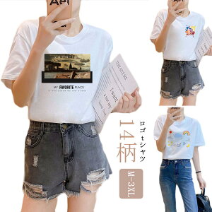 TVc Jbg\[ fB[X STVc S vg fB[X  傫TCY N[lbN Svg jZbNX gbvX ST eB[Vc tVc vgT 