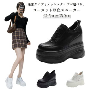 Xj[J[ C q[Abv 11cm [Jbg {v gAbv V[Y V[Y Xj[J[ _bhXj[J[ bV fB[X ʋC EH[LO C tďH~ w