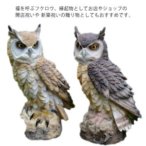  I[ig u CeA CeA J^ObY  ӂ낤 K^ N sJ tNE }XRbg   IuWF v[g tNE