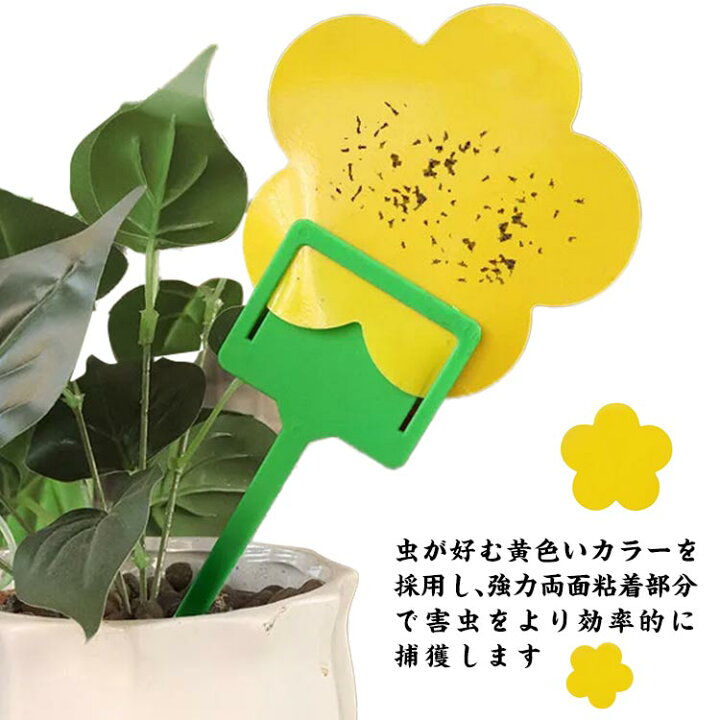楽天市場】黄色 捕虫シート 害虫対策用品 20枚セット 虫取り 