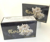 楽天市場】ハナビラタケ 錠剤の通販