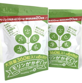 【お得な2袋セット】healthylife モリンガかぞく モリンガ末　食物繊維　乳酸菌　ラクトフェリン　モリンガの含有量 もりんが 2粒あたり 400mg！ 腸活ダイエットにも！ 全国送料無料