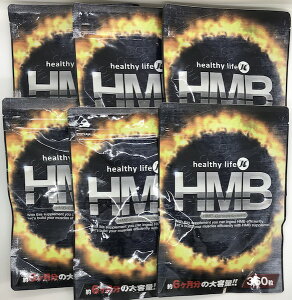 _CGbg T|[g Tvg healthylife HMB 6܃Zbg(1 108gi300mg×360j×6) HMB JVE 1 HMB@100mgz