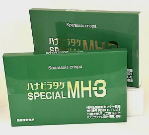 nir^P SPECIAL MH-3 2Zbg 1 23.3g(250mg×3×31)×2j N365f ~iwX N⏕Hi Tvg |Xg  ԕّ Ԃт ͂Ȃт炽 Ԃт炽 ni