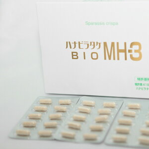 nir^P BIO MH-3 Tvg 1 60JvZ Ew\ OJ ~iwX ͂Ȃт炽 x[^OJܗL BIOMEDICALS yΉ Ԃт炽 NHi n