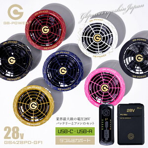 obe[ t@Zbg 28V GB-POWER MWp GB428PD GF1 USB-C|[g 2025N 15ۏ 啗 󒲃EFApfoCX t@tEFAΉ ƕ ƒ