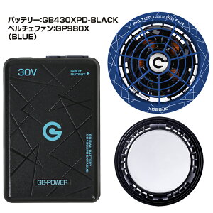�o�b�e���[ �y���`�F�t�@���Z�b�g 30V �����x-25�� GB-POWER ���M�W���p�� GP980X GB430 GB430PD GB430XPD 2026�N 15�����ۏ� �y���`�F �󒲃E�F�A�p�f�o�C�X �t�@���t���E�F�A�Ή� ��ƕ� ��ƒ�