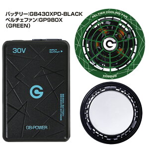 �o�b�e���[ �y���`�F�t�@���Z�b�g 30V �����x-25�� GB-POWER ���M�W���p�� GP980X GB430 GB430PD GB430XPD 2026�N 15�����ۏ� �y���`�F �󒲃E�F�A�p�f�o�C�X �t�@���t���E�F�A�Ή� ��ƕ� ��ƒ�