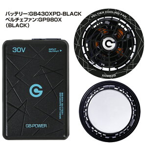 �o�b�e���[ �y���`�F�t�@���Z�b�g 30V �����x-25�� GB-POWER ���M�W���p�� GP980X GB430 GB430PD GB430XPD 2026�N 15�����ۏ� �y���`�F �󒲃E�F�A�p�f�o�C�X �t�@���t���E�F�A�Ή� ��ƕ� ��ƒ�
