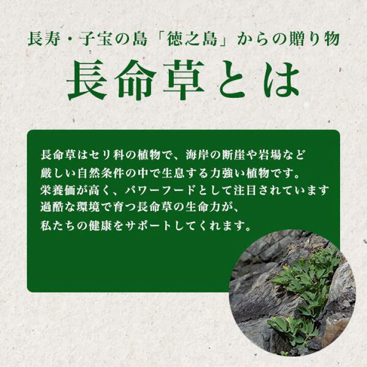 楽天市場】【 長命草 錠剤 62錠×5袋セット 】 約5ヶ月分 サプリメント 国産 鹿児島 ボタンボウフウ 健康 サプリ ダイエット 美容 送料無料 徳之島 健康 むくみ 美容 男性 女性 亜鉛 ビタミン 肝臓 マグネシウム 頻尿 鉄分 牡丹防風 栄養 : 長命草と日本山人参・ゆうだ薬草園 楽天市場】【 長命草 錠剤 62錠×5袋セット 】 約5ヶ月分 サプリメント 国産 鹿児島 ボタンボウフウ 健康 サプリ ダイエット 美容 送料無料 徳之島 健康 むくみ 美容 男性 女性 亜鉛 ビタミン 肝臓 マグネシウム 頻尿 鉄分 牡丹防風 栄養 : 長命草と日本山人参・ゆうだ薬草園