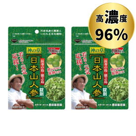 日本山人参 サプリメント ヒュウガトウキ 錠剤 粒タイプ 100粒 x 2袋セット 日向当帰 96%配合 約1ヶ月分 高濃度 国産 鹿児島 徳之島産 世界自然遺産の島 1粒200mg まとめ買い 1日6-9粒目安 送料無料 ネコポス にほんやまにんじん