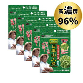 日本山人参 サプリメント ヒュウガトウキ 錠剤 粒タイプ 100粒 x 5袋セット 日向当帰 96%配合 約2ヶ月半分 高濃度 国産 鹿児島 徳之島産 世界自然遺産の島 1粒200mg まとめ買い 1日6-9粒目安 送料無料 ネコポス にほんやまにんじん