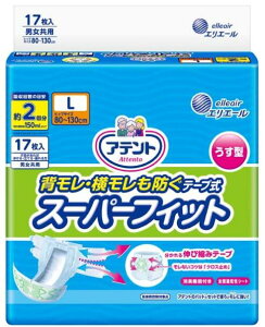 17 Aeg w E h ^ X[p[tBbg e[v L GG[