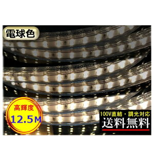 LEDe[vCg Ή 100V 12.5M Px 邢 dF ԐڏƖ  CeA CY-TPDW12HM
