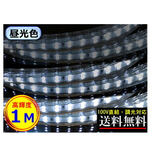 LEDe[vCg Ή 100V 1M Px 邢 F ԐڏƖ  CeA CY-TPDC1M