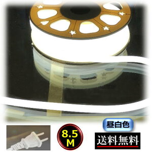 lICg [vCg `[uCg RZgvOt 100V 8.5M 850cm F C~l[V ԐڏƖ 邢 CY-NLC8HM