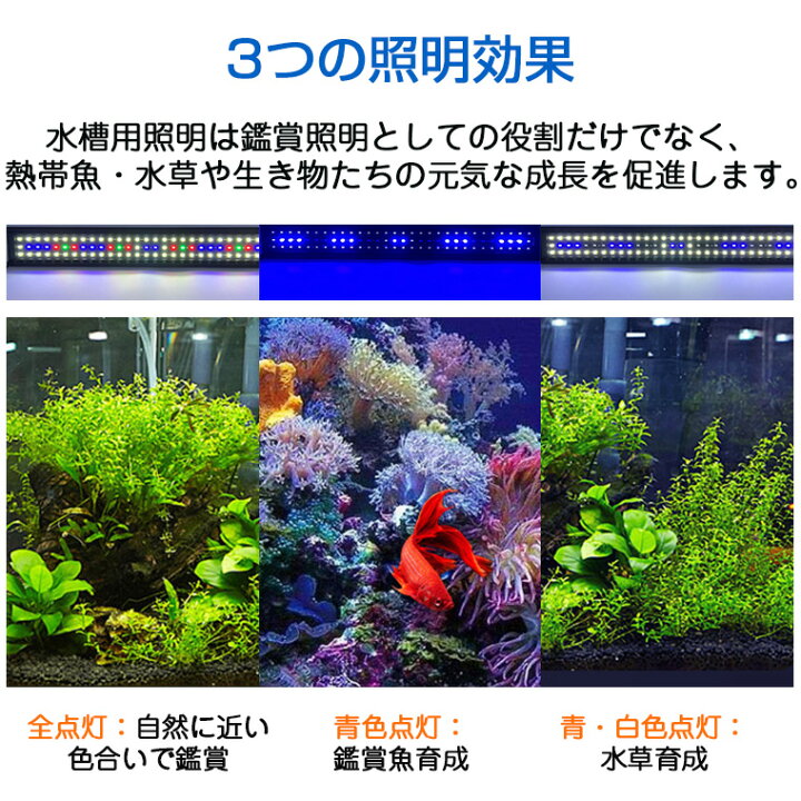 楽天市場】水槽ライト 水槽 ライト 水槽 LEDライト タイマー タイマー 