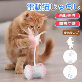 猫 おもちゃ 電動 一人遊び 猫じゃらし ねこ おもちゃ 自動 ひも 遊べる ネコ おもちゃ 自動回転 猫 玩具 ねこじゃらし 猫遊び 猫用品 ペット用品 電動ぐるぐる 犬猫 猫用 電動おもちゃ 運動不足 ストレス解消 電池不要 留守番対策
