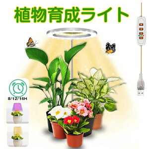 ySi15%OFFN[|zzzA琬Cg LED ^C}[ A琬LED ϗtA琬Cg A琬 gtXyNg 5Ki 20LEDv z ԂƐ ͔|Cg k͔|v 