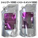 ミルボン オージュア エクイアル シャンプー 1000ml + ヘアトリートメント 1000g 2本セット サロン専売品 専売品 年齢とともに毛先のまとまりや根元の立ち上がりが気になり出した方へ サロン仕上がり p2 ofc