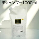 パッション エクセント 炭シャンプー さっぱり タイプ 敏感肌 クレンジング シャンプー 低刺激シャンプー アミノ酸シャンプー ノンシリコン シャンプー ハリ コシ ボリュームアップ アトピー p5 ofc