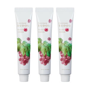 デイリーアロマ 富士山ぶどう ハンドクリーム ミニ 20g 巨峰の香り | デイリーアロマジャパン べたつかない さらさら 手荒れ 乾燥対策 保湿 日本製 天然 自然由来 人気 香り 香水 匂い プチギ