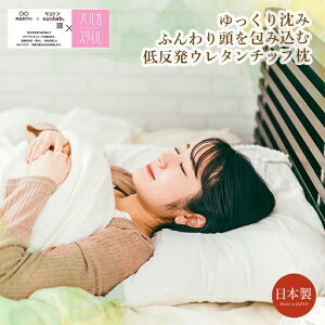  43×63cm ᔽ E^`bv ܂ R TXeiuf { EtBbg ӂ KQSn dl yʁbnJX^C