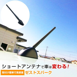 [XgXp[N JE1 JE2 V[gAei WIAei WI wJV[g Aei FM p[c JX^p[c hXAbv    Z ܂ꂽ Op[c J[pi 