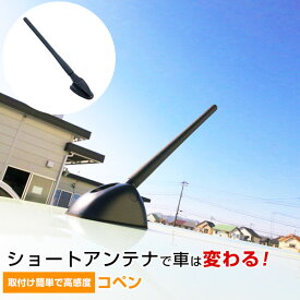 楽天市場 コペン アンテナ 交換の通販