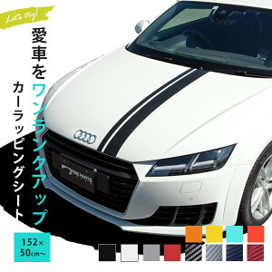 ダイノックシート フィルム カーボンの通販 価格比較 価格 Com