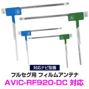 �p�C�I�j�A AVIC-RF920-DC �Ή� L���A���e�i 4���Z�b�g �t���Z�O �n�f�W�t�B�����A���e�i �i�r���� �i�r �J�[�i�r �e���r�A���e�i �悹���� �A���e�i �t�����g�K���X