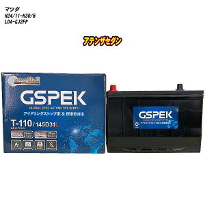 y }c_ AeUZ_ z GJ2FP H24/11-H30/6 Wndl obe[ GSPEK WV[Y W-T110/PL yH04006z