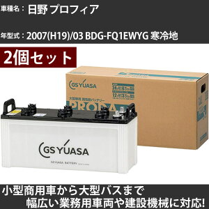 �J�[�o�b�e���[ ���� �v���t�B�A 2007(H19)/03 BDG-FQ1EWYG ����n 12900cc GS���A�T PRX-170F51×2�� PRODA X �Ɩ��p�ԗ� �y��^�����i�z�yH31006�z