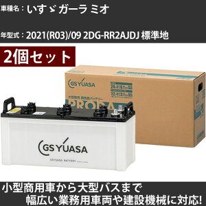 �J�[�o�b�e���[ �����U �K�[�� �~�I 2021(R03)/09 2DG-RR2AJDJ �W���n 5100cc GS���A�T PRX-195G51×2�� PRODA X �Ɩ��p�ԗ� �y��^�����i�z�yH31006�z