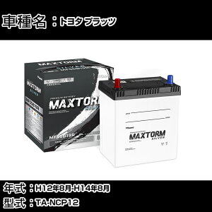 g^ vbc H12N8-H14N8 TA-NCP12 1500cc/[dVXeڎԏ/Wndl obe[ KQl }bNXg[ MAXTORM SILVER MF55B19R J[eiX Ԍ ԗpi yH410