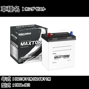 z_ [Xg H21N11-H24N11 DBA-JE1 660cc/[dVXeڎ/ndl obe[ KQl }bNXg[ MAXTORM SILVER MF55B19R J[eiX Ԍ ԗpi yH41001z
