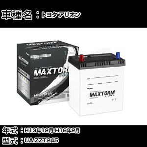 �g���^ �A���I�� H13�N12��-H16�N2�� UA-ZZT245 1800cc/4WD/�[�d����V�X�e�����ڎԏ���/�W���n�d�l�� �o�b�e���[ �K���Q�l �}�b�N�X�g�[�� MAXTORM SILVER MF55B19R �J�[�����e�i���X �Ԍ����� �����ԗp�i 