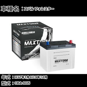 Xo tHX^[ H17N1-H19N12 CBA-SG5 2000cc/MTԁE4WD/[dVXeڎԏ/ndl obe[ KQl }bNXg[ MAXTORM SILVER MF95D23L J[eiX Ԍ 