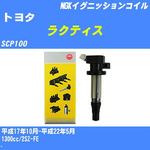 g^ NeBX COjbVRC SCP100 17N10-22N5 NGK U5027 yH04006z